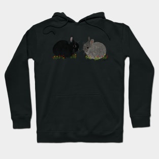 Shadow and Darwin Hoodie